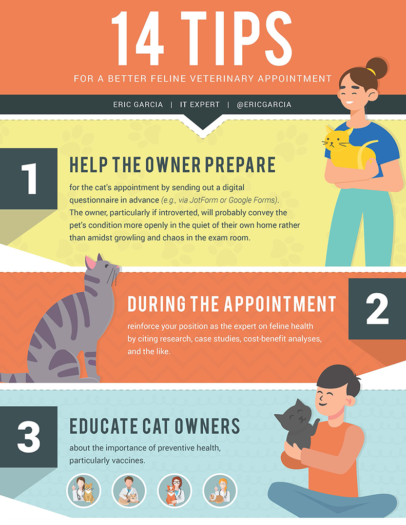 14 Tips For A Better Feline Veterinary Appointment