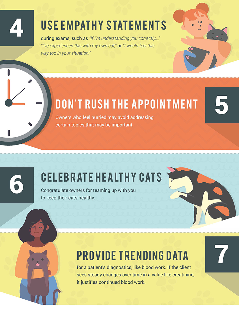 14 Tips For A Better Feline Veterinary Appointment